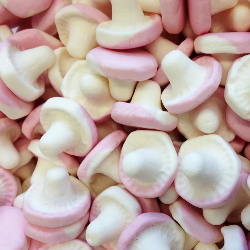 Champignons 100 grammes