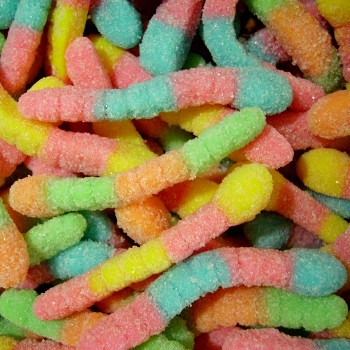 Vers de terre Pik 100 grammes